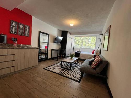 DST3 Complete studio in zone 15 in Zone 15