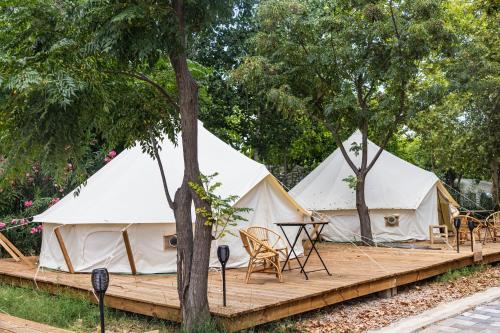HolaCamp Gandía (HolaCamp Gandia) in Daimuz