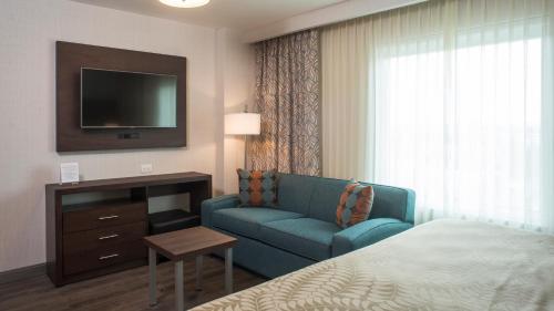 1 king bed, 1 sofa bed