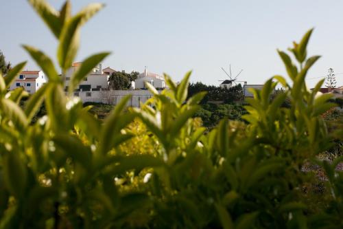 Foto - Ericeira Chill Hill Hostel & Private Rooms - Peach Garden