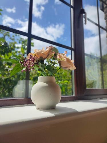 zahrada, Rynn Haven - Enchanting Townhouse Lough Rynn in Mohill
