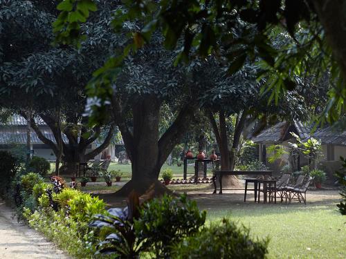 59162262 Tiger Tops Tharu Lodge