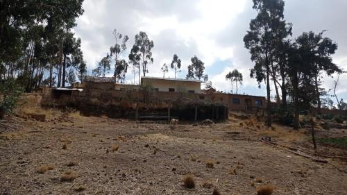 La Esperanza Carabuco in Challapampa