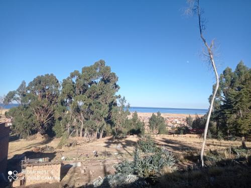 La Esperanza Carabuco in Challapampa