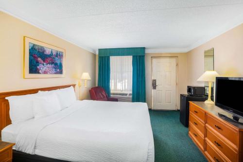 1 king bed
