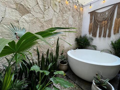 Cozy Apartament with a king size bed in Tulum, Mexico