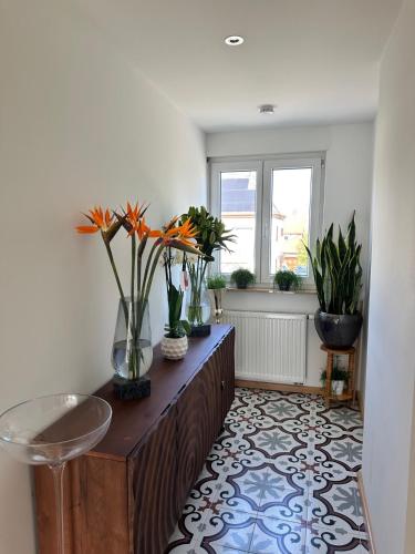 Gästehaus LINH (Gastehaus LINH) in 埃登科本