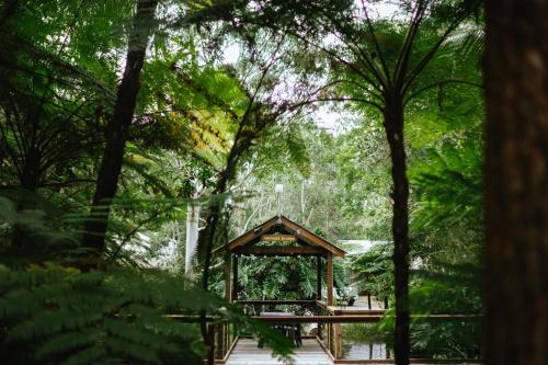 The Oasis at One Mile Beach, Nelson Bay (fotografie 7)