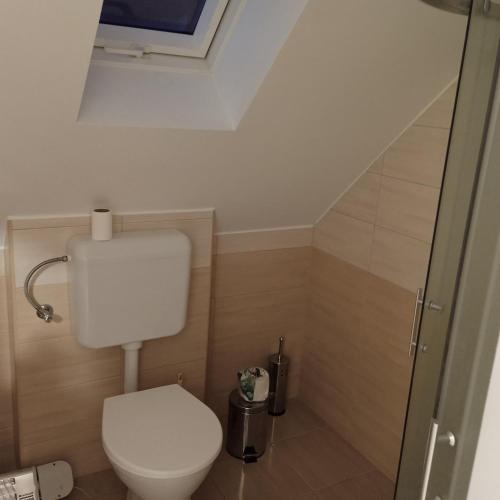 Hause with jacuzzi half hour from Budapest, Velence (photo 6)