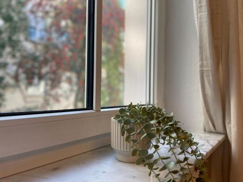 Zentrales Innenstadt Studio mit Garage