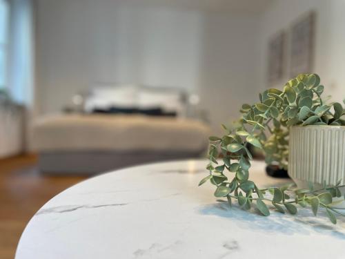 Zentrales Innenstadt Studio mit Garage