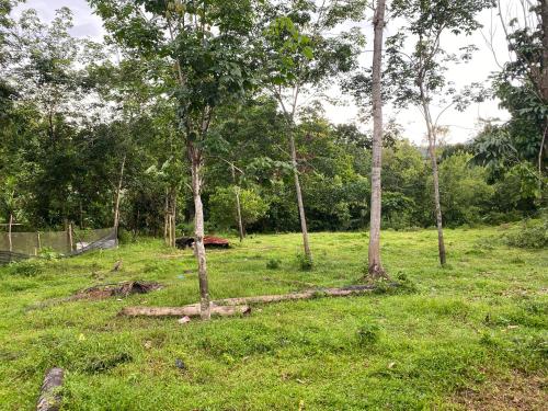 المنطقة المحيطة, Homestay Kak soh 2 at Kampung Kalai Jeli Kelantan in Jeli