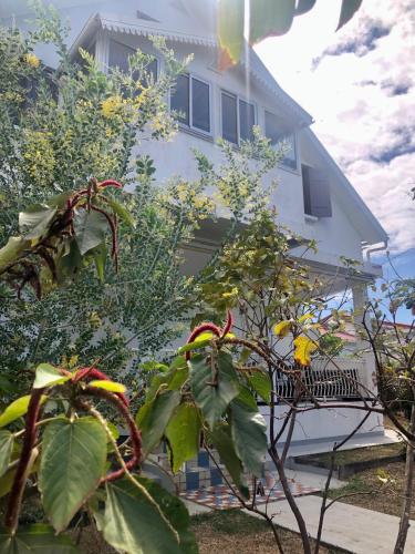 Tamaris du Nord - Location saisonnière - Saint-Denis