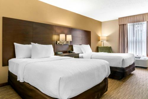 Double Room with Two Double Beds - Non-Smoking