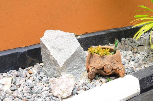 La Citronnelle Entire 3-Bedroom Holiday Home Lovingly Furnished in Naalya Kampala - image 2