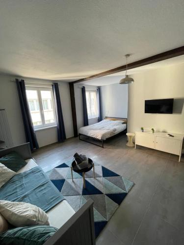 Logement Les Plumes, Strasbourg (photo 6)