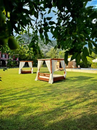 Surrounding environment, Apartments Djurovic in Virpazar