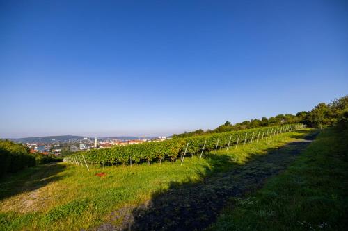 設施, Nettes kleines Apartment mit Stellplatz in 林德萊斯穆勒