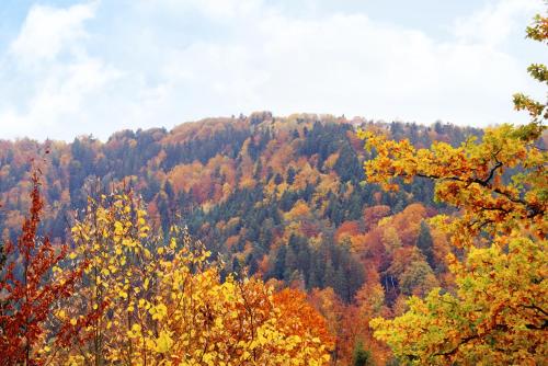 Waldhotel Post 5.8km von Simmozheim entfernt