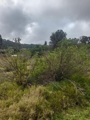 Nightjar Cabin Knysna in Knysna Csúcs