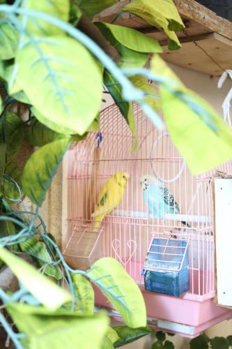 Foto - Hotel Nine Wonders