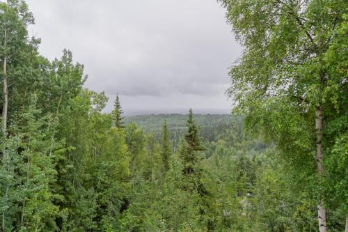 The Chetana Ridge Cabin in Chena (AK)