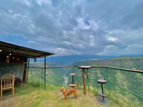 Tsatʼer Guest House in Dzoraget