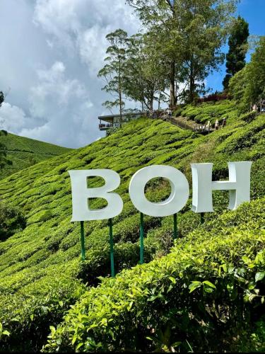 Mizu Homestay Kea Farm 10mins to BOH Mizu Homestay Kea Farm 10mins to BOH