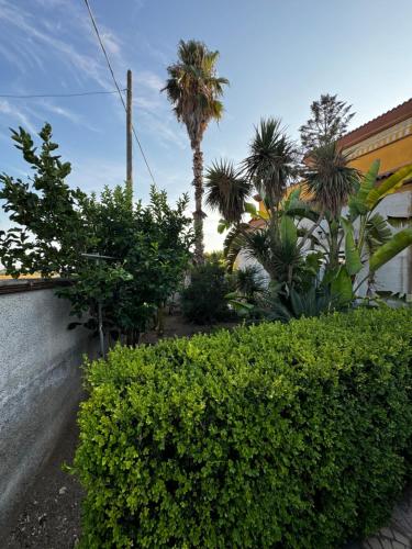  Casa Irene in Leporano