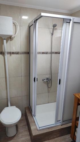 One-Bedroom Apartment image 6