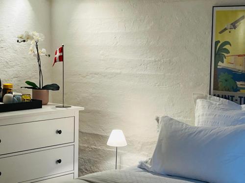Room with private bathroom, 10-15 min to Copenhagen, Søborg (zdjęcie 7)