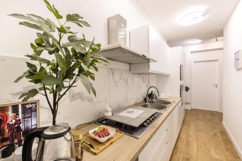 Titina Suites Apartment Rome, Roma (foto 5)