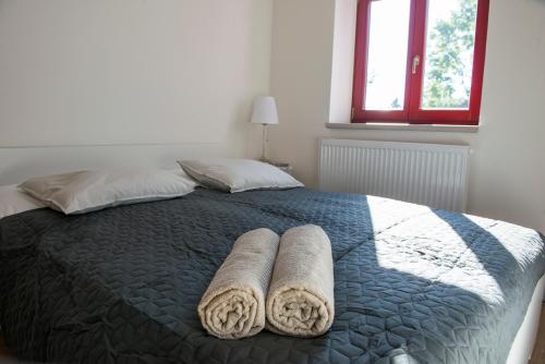 1 queen bed, 1 sofa bed