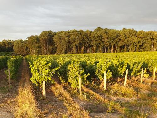 Spatieux, confort, reposant, gd jardin bucolique, jeux, balades, zoo, châteaux gîte à louer Véret