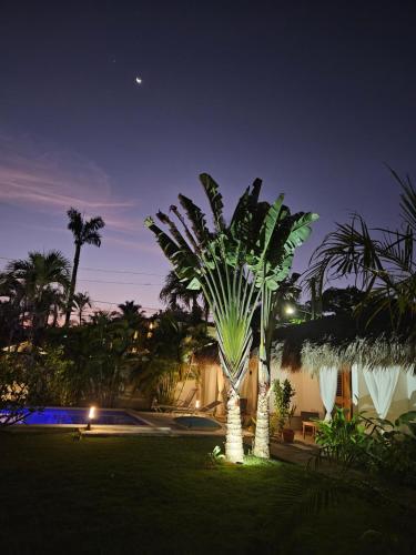 Casa Shambala B&B in Las Terrenas