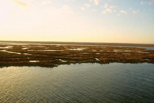 Chalet a pie de playa Chalet a pie de playa
