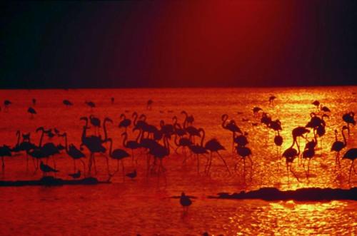 Chalet a pie de playa Chalet a pie de playa