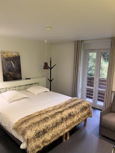 Double Room with view on Sancy