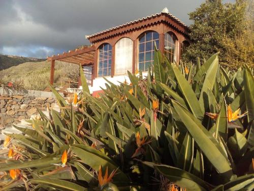 Nettes Ferienhaus in Faja Da Ovelha gîte à louer Enseada do Pesqueiro