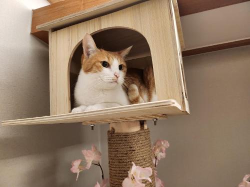 Sillim U HOTEL in Gwanak