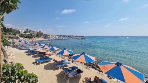 Melania Modern Apart with pool near CORAL BAY, Pafos, Peyia (photo 4)