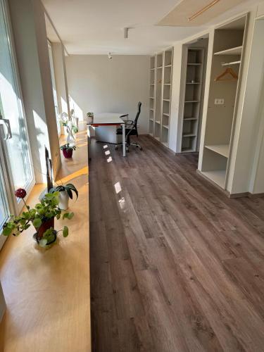Klimaanlage, 5 Sterne Bahnhoftraum, 200qm Appartement "Waldzauber", 1200qm Garten, QR Code scannen f in Braunfels