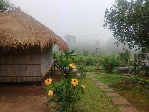 La Villa Hortensia-Mondulkiri in Daoh Kramom