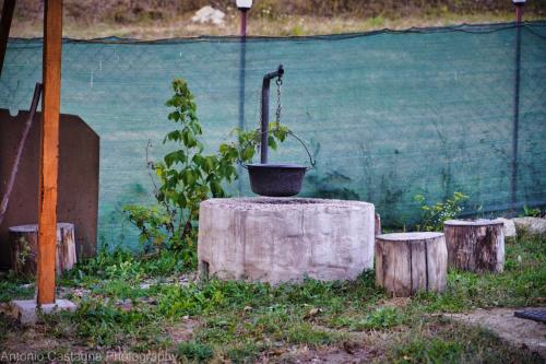 Casuta Fodora in Chinteni