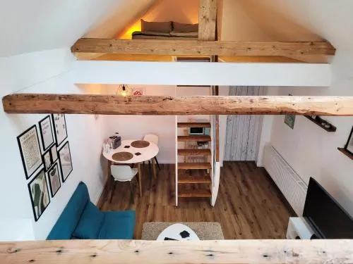 Modernes 1-Zimmer-Apartment mit Galerie-Schlafkoje im skandinavischen Stil in Ostenfeld, Deutschland