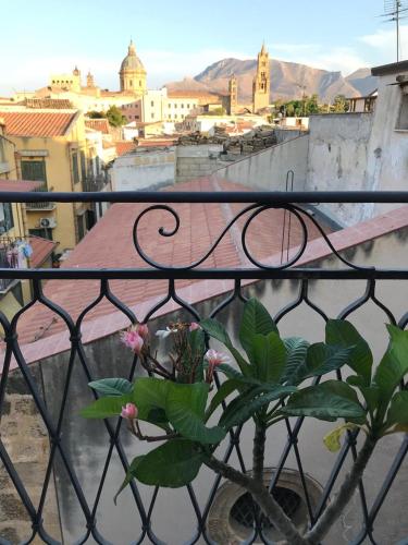 Casa Rosa, Palermo (foto 6)