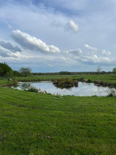 En plein cœur de la Sologne in Mur-De-Sologne