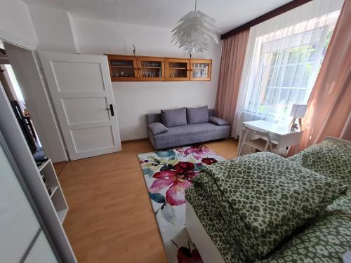 Apartament Leśna z ogrodem, Szklarska Poręba (Foto 10)