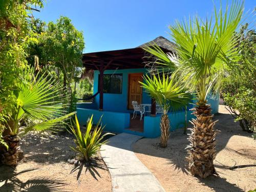 Cabo Pulmo Beach Resort in La Ribera
