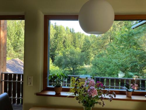Kilátás, Grünlasmühle (Grunlasmuhle) in Brand